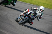 PJ-Motorsport-2019;anglesey-no-limits-trackday;anglesey-photographs;anglesey-trackday-photographs;enduro-digital-images;event-digital-images;eventdigitalimages;no-limits-trackdays;peter-wileman-photography;racing-digital-images;trac-mon;trackday-digital-images;trackday-photos;ty-croes